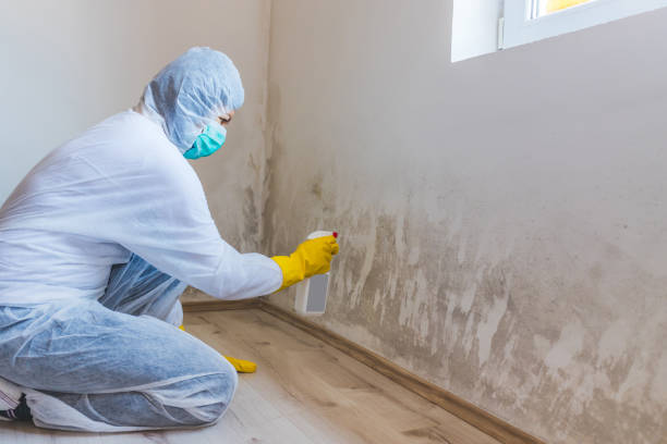 Licensed Bathroom Mold Removal service in Garrett, TX - Mold Remediation HQ