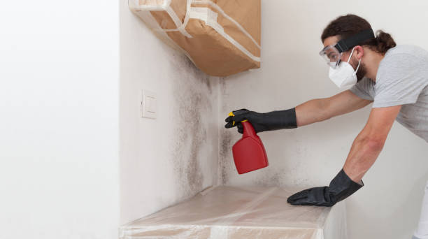Professional Bathroom Mold Removal technician working in Garrett, TX