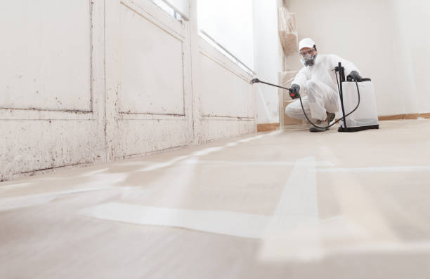 24/7 Emergency Bathroom Mold Removal experts in Garrett, TX