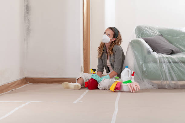 Reliable Bathroom Mold Removal contractor in Garrett, TX by Mold Remediation HQ